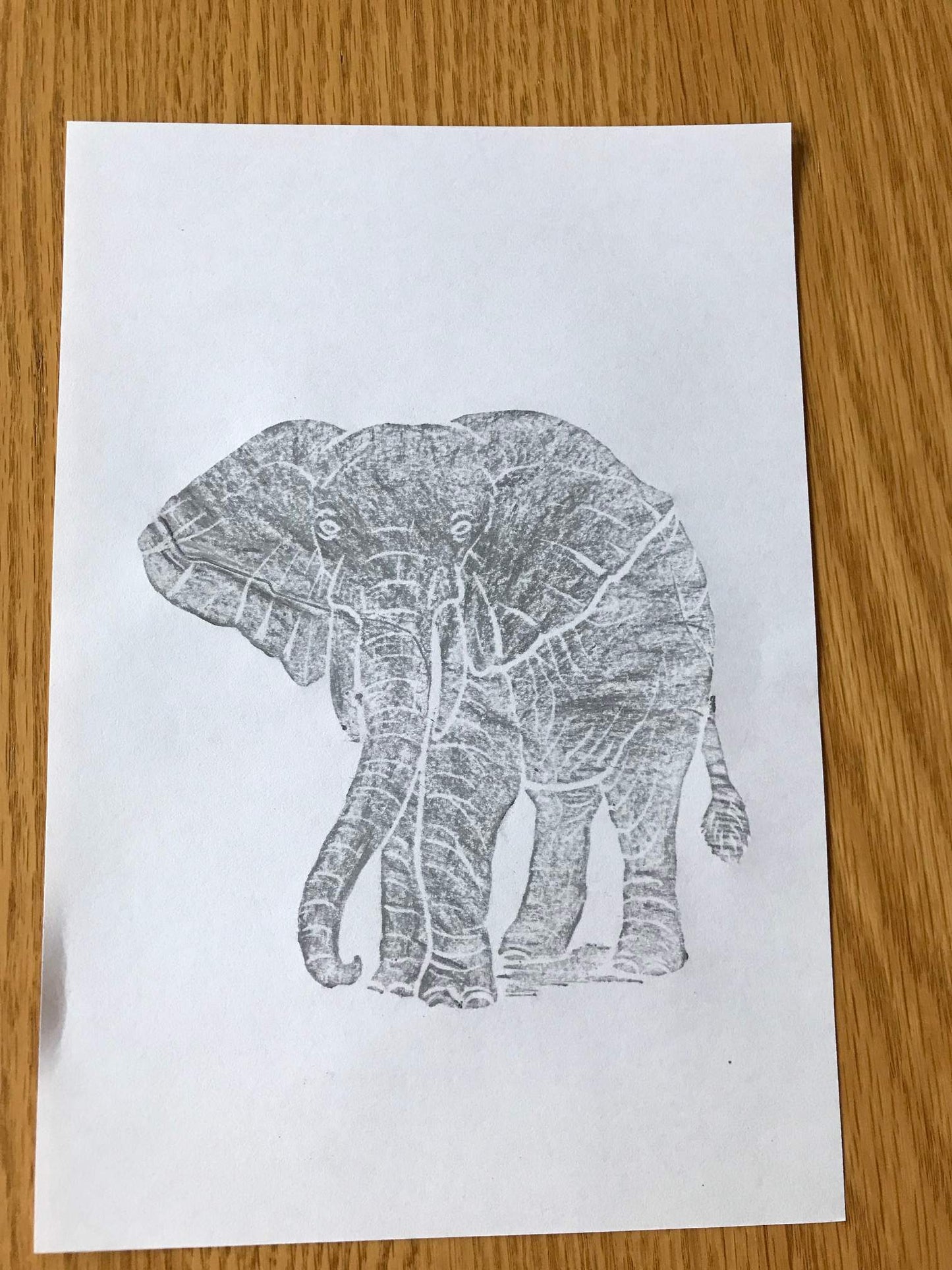 Brass Rubbing Kit Elephant