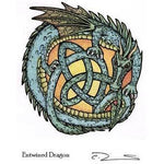 Refrigerator Magnet Entwined Dragon