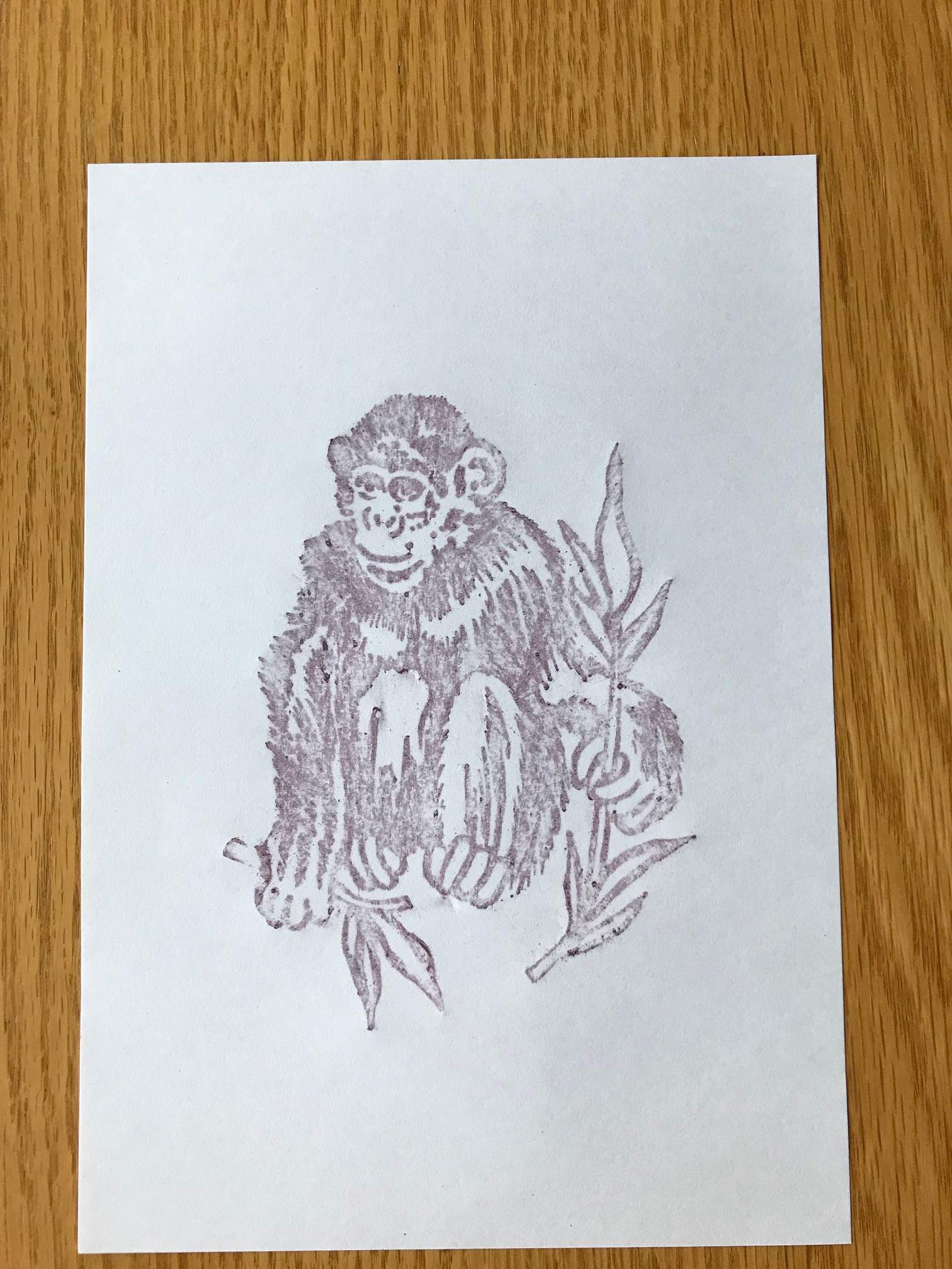 Brass Rubbing Kit Dinosaur Chimpanzee