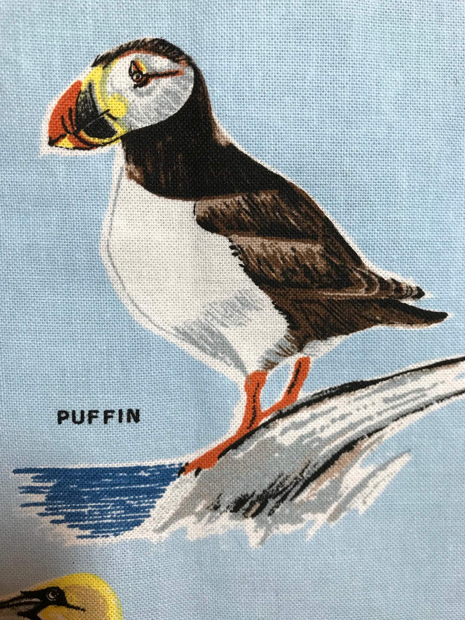 Tea Towel Sea Birds of Scotland